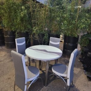 Outdoor setting with a round table, four chairs, and tall potted plants in the background.